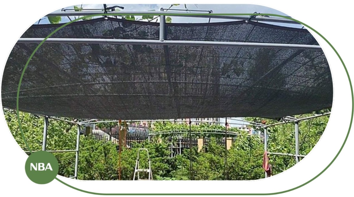 Lưới Che Nắng Ngoài Trời Là Gì? Cách Chọn Loại Phù Hợp Cho Sân Vườn, Ban Công Và Công Trình 1 Lưới Che Nắng Ngoài Trời Là Gì? Cách Chọn Loại Phù Hợp Cho Sân Vườn, Ban Công Và Công Trình