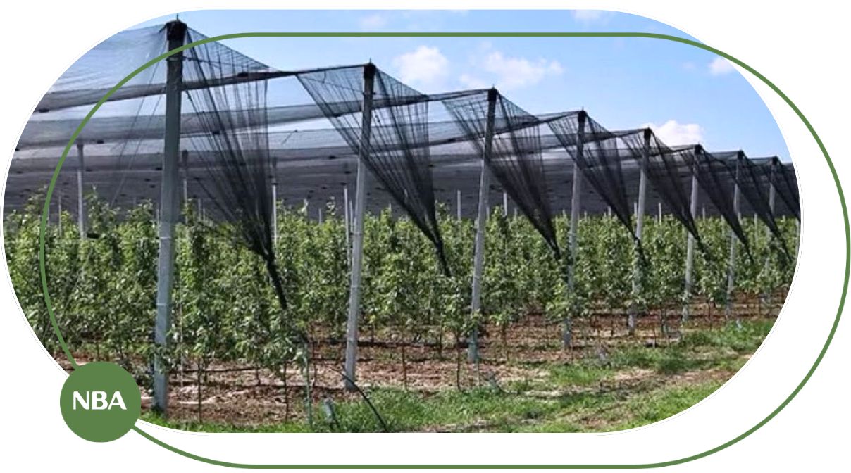 Hướng Dẫn Chọn Lưới Đen Che Nắng Phù Hợp Cho Nông Nghiệp Và Dân Dụng 1 Lưới đen che nắng