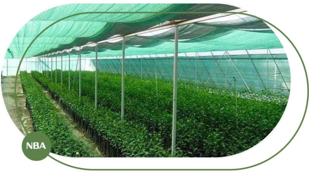 Lưới lan che nắng