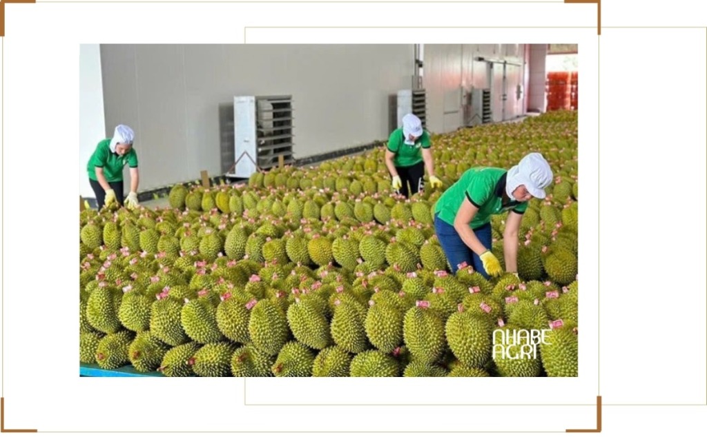 thị trường xuất khẩu nông sản việt nam