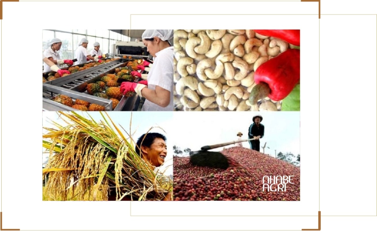 Tác Động Của Chiến Tranh Đến Chuỗi Cung Ứng Nông Sản Toàn Cầu Và Việt Nam 1 chiến tranh ảnh hưởng tới chuỗi cung ứng nông sản