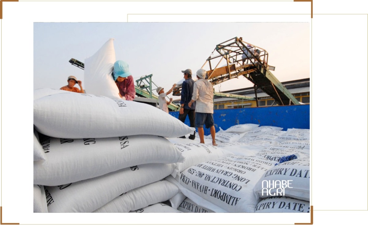 Thị Trường Gạo Thế Giới: Xu Hướng, Giá Cả Và Triển Vọng Xuất Khẩu 1 thị trường gạo thế giới