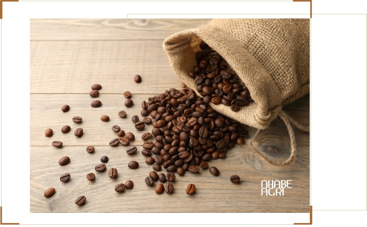 thị trường xuất khẩu cà phê việt nam 2026