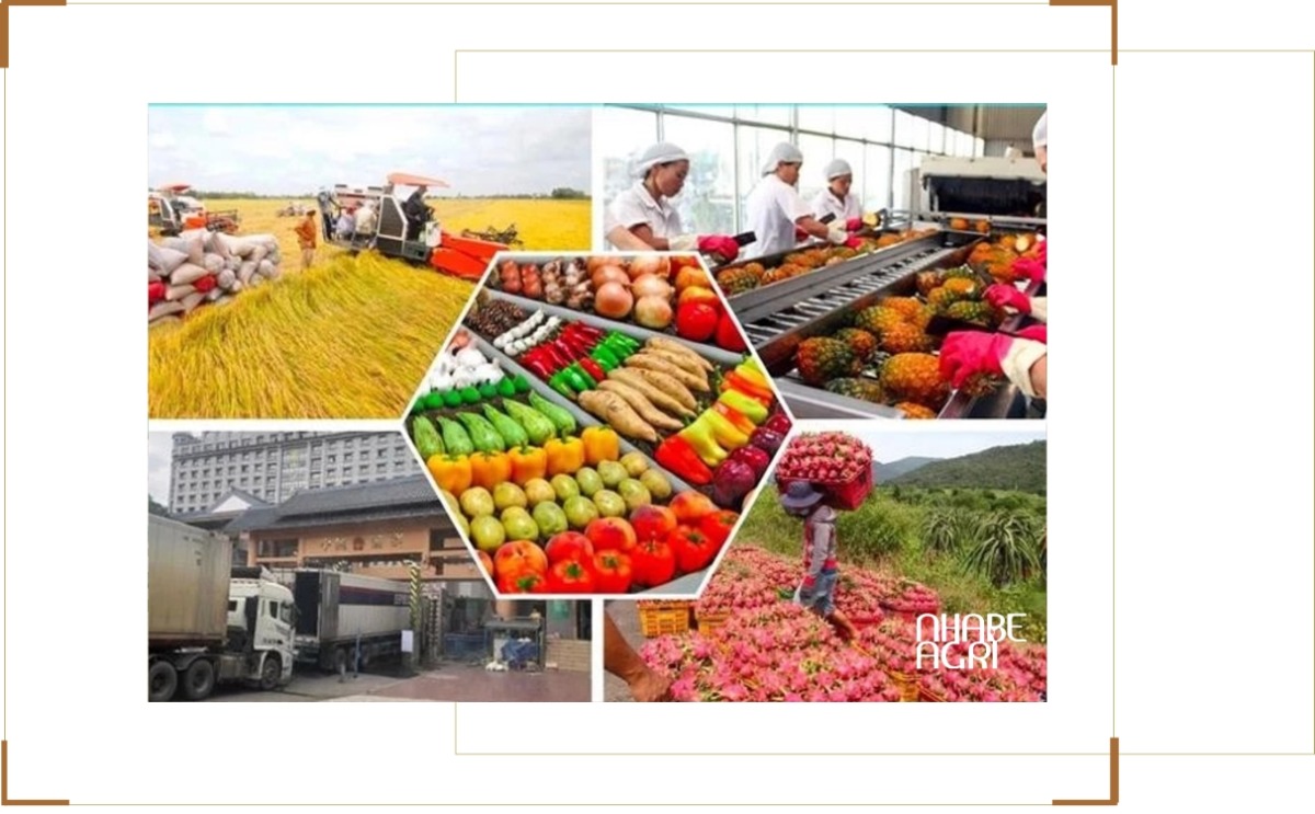 Tác Động Của Chiến Tranh Đến Chuỗi Cung Ứng Nông Sản Toàn Cầu Và Việt Nam 2 tác động của chiến tranh ảnh hưởng tới chuỗi cung ứng nông sản