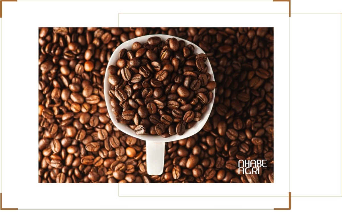 Giá Cà Phê Arabica: Cập Nhật Mới Nhất Từ Thị Trường 2 giá cà phê arabica