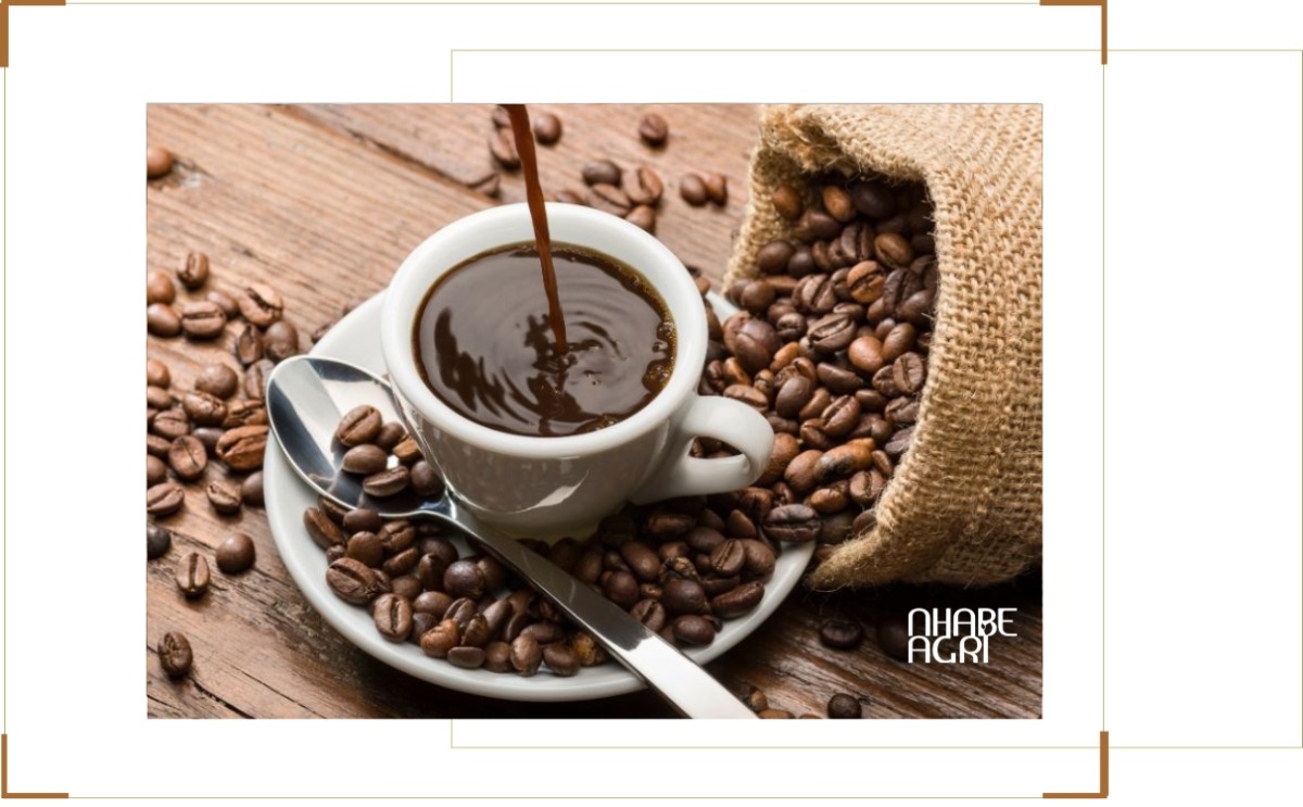 Giá Cà Phê Arabica: Cập Nhật Mới Nhất Từ Thị Trường 3 giá cà phê arabica mới nhất