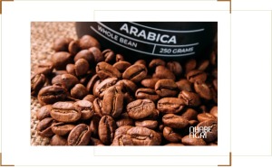 giá cà phê arabica tin mới