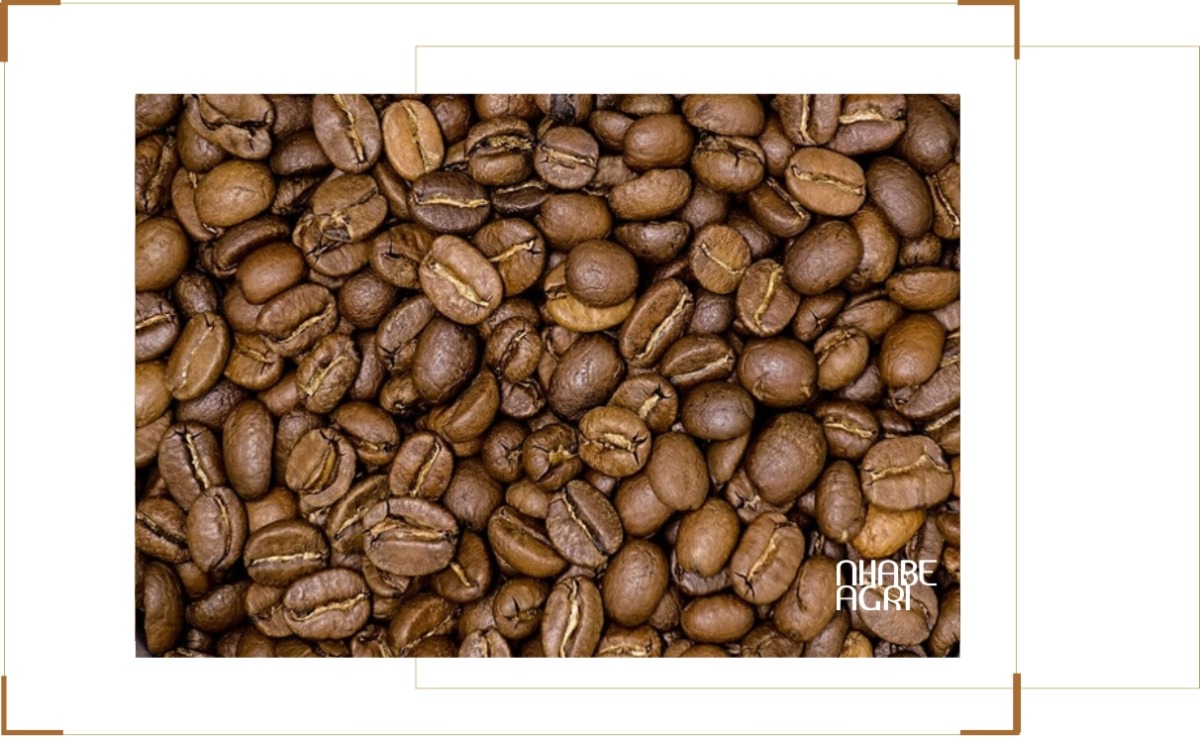 giá cà phê arabica năm nay