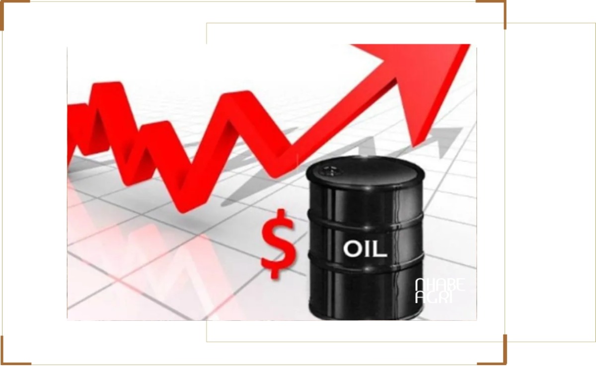 cập nhật giá dầu tăng do chiến tranh Iran