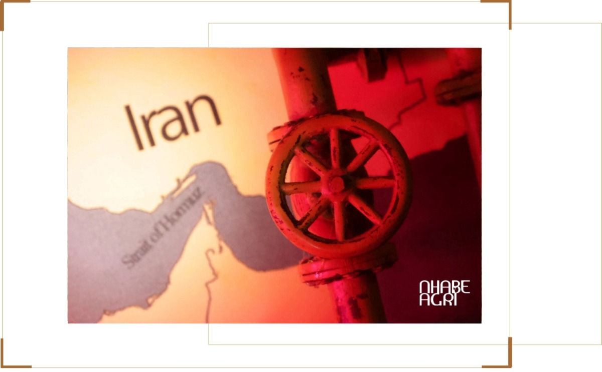 giá dầu tăng do chiến tranh Iran mới nhất hôm nay