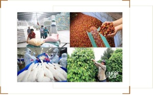 chi phí vận tải nông sản tăng