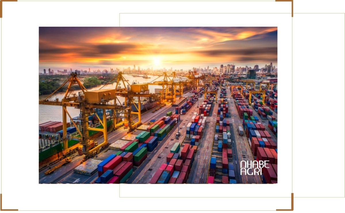 Chi Phí Vận Tải Nông Sản Tăng: Nguyên Nhân Và Tác Động Đến Xuất Khẩu Nông Sản 1 chi phí vận tải nông sản