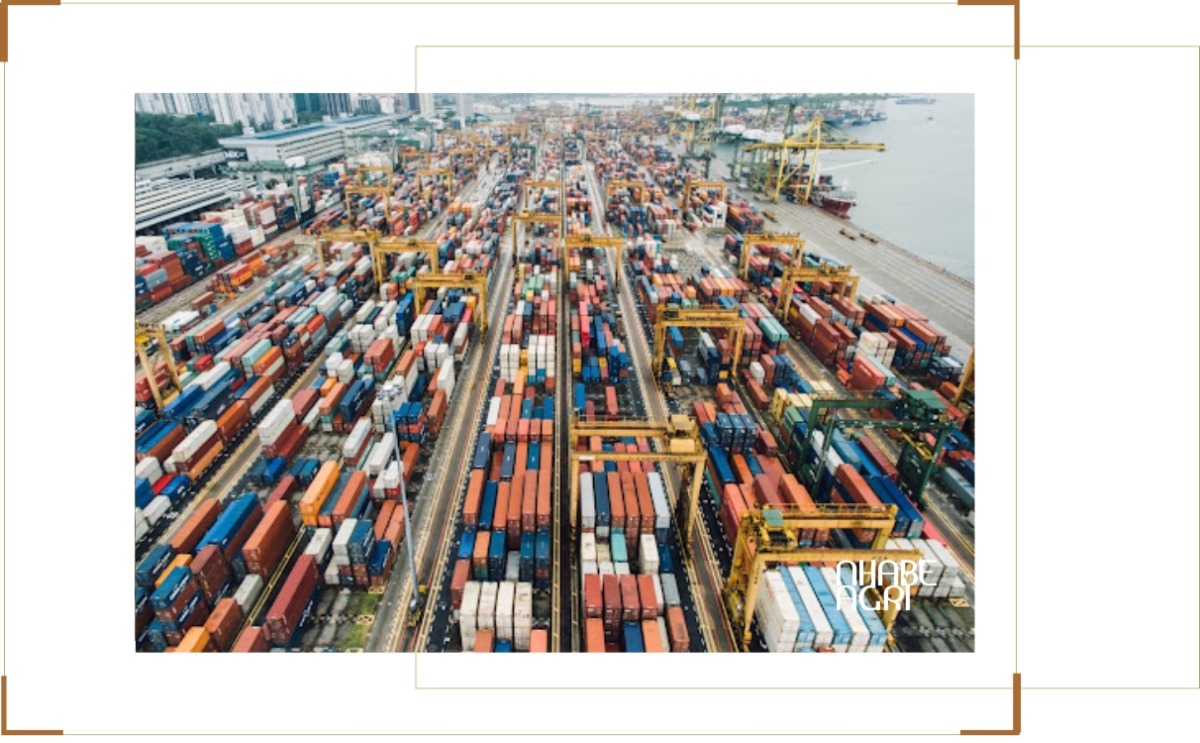 Chi Phí Vận Tải Nông Sản Tăng: Nguyên Nhân Và Tác Động Đến Xuất Khẩu Nông Sản 2 chi phí vận tải nông sản tăng 2026