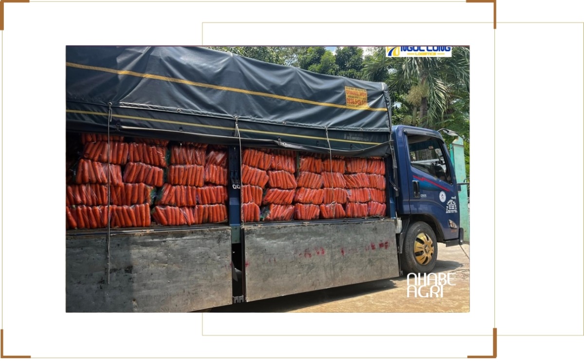 chi phí vận tải nông sản tăng cập nhập