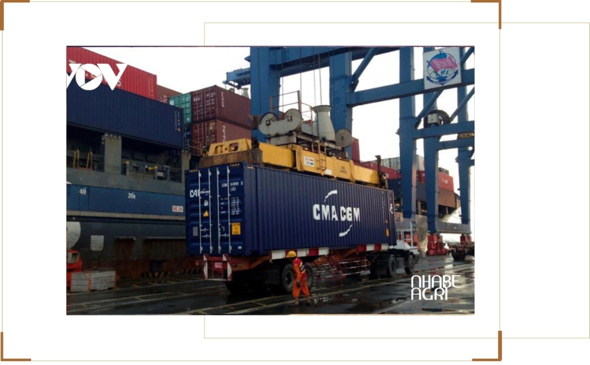 Chi Phí Vận Tải Nông Sản Tăng: Nguyên Nhân Và Tác Động Đến Xuất Khẩu Nông Sản 3 chi phí vận tải nông sản tăng tin mới