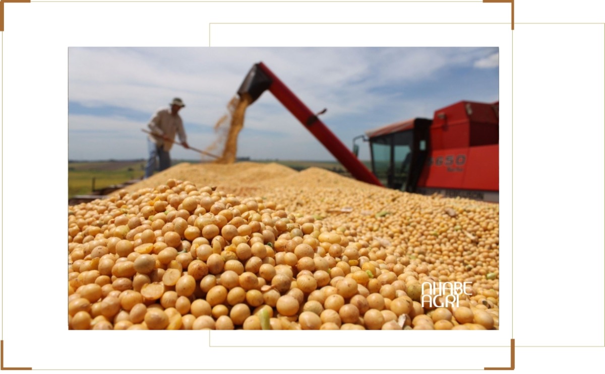 cập nhật thị trường nông sản thế giới
