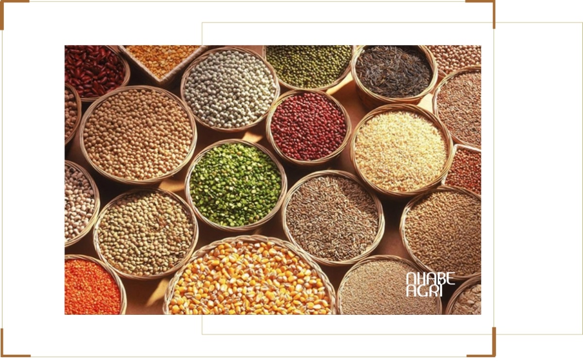 thị trường nông sản thế giới 2026