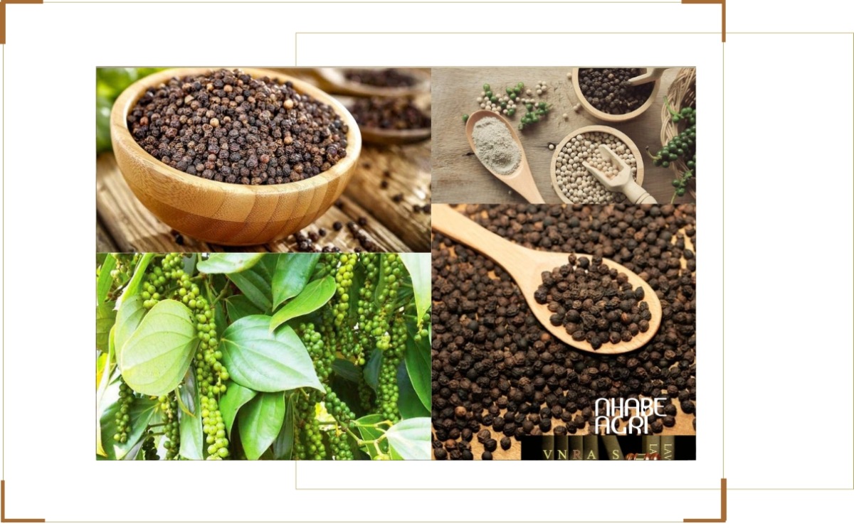 xuất khẩu hồ tiêu