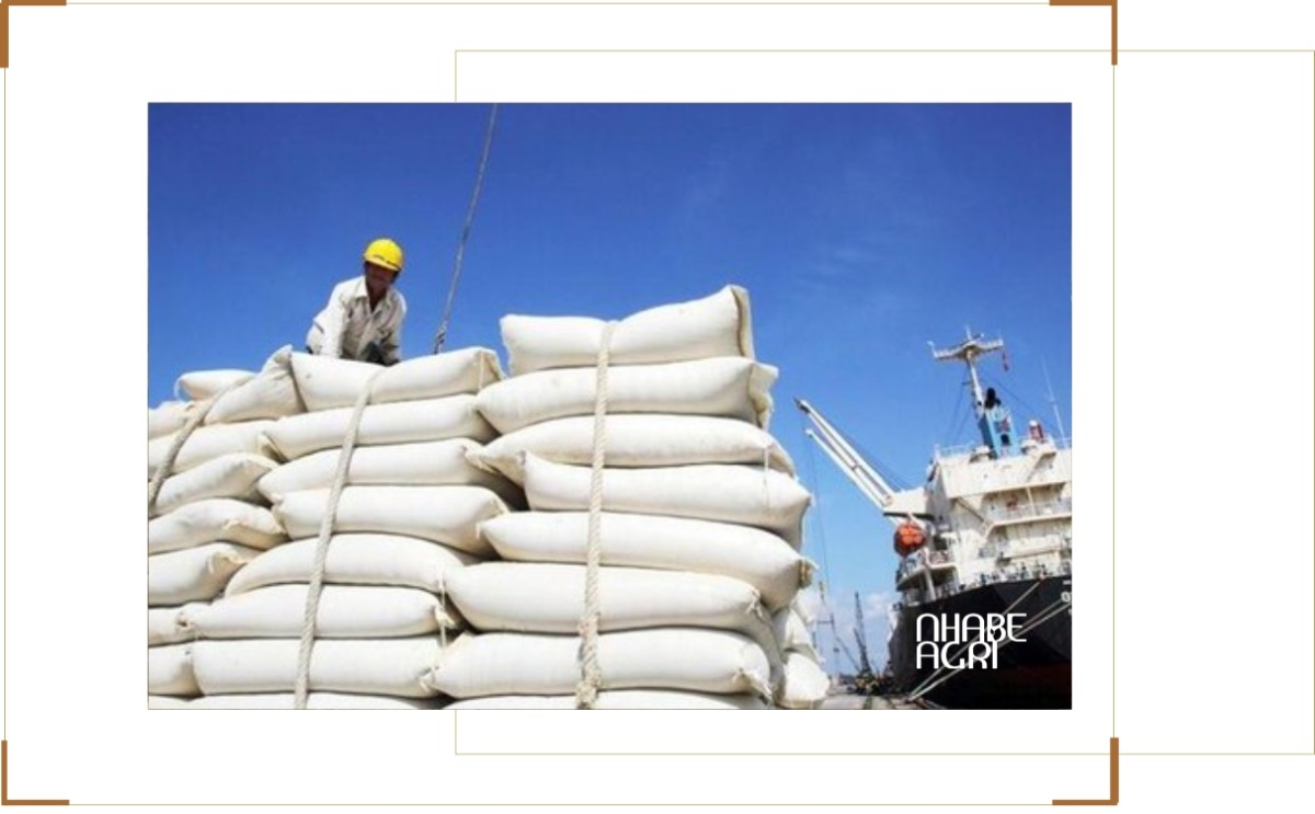 Giá Gạo Xuất Khẩu Việt Nam: Cập Nhật Thị Trường Và Xu Hướng Mới Nhất 1 giá gạo xuất khẩu việt nam