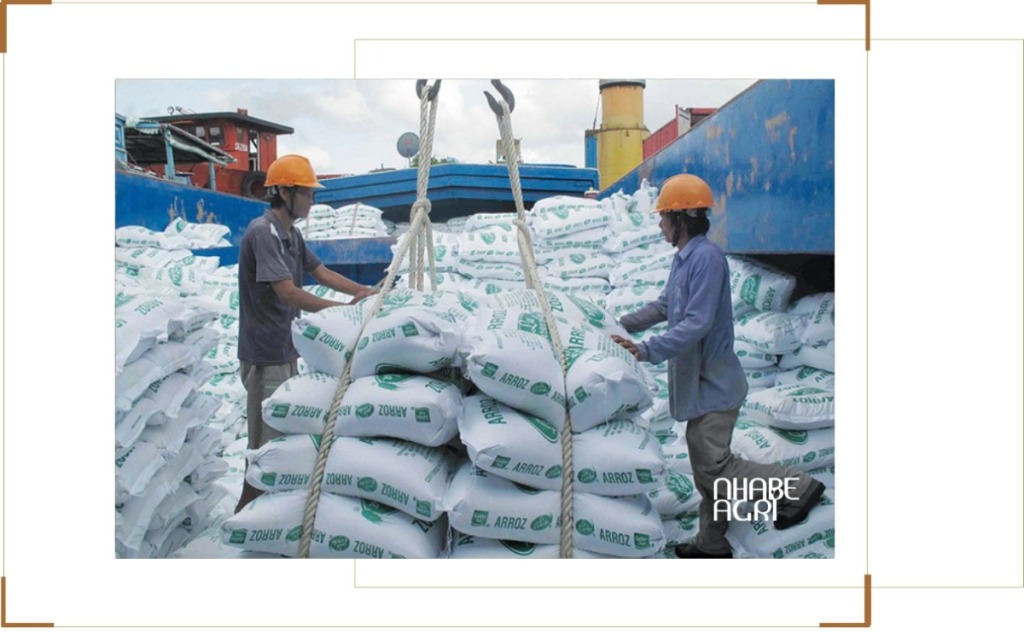 tin tức giá gạo xuất khẩu việt nam