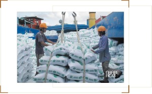 tin tức giá gạo xuất khẩu việt nam