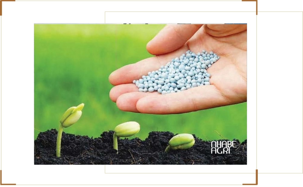 Giá Phân Bón Tăng Vì Chiến Tranh Iran: Tác Động Đến Nông Nghiệp Và Kinh Tế Toàn Cầu 1 giá phân tăng vì chiến tranh iran