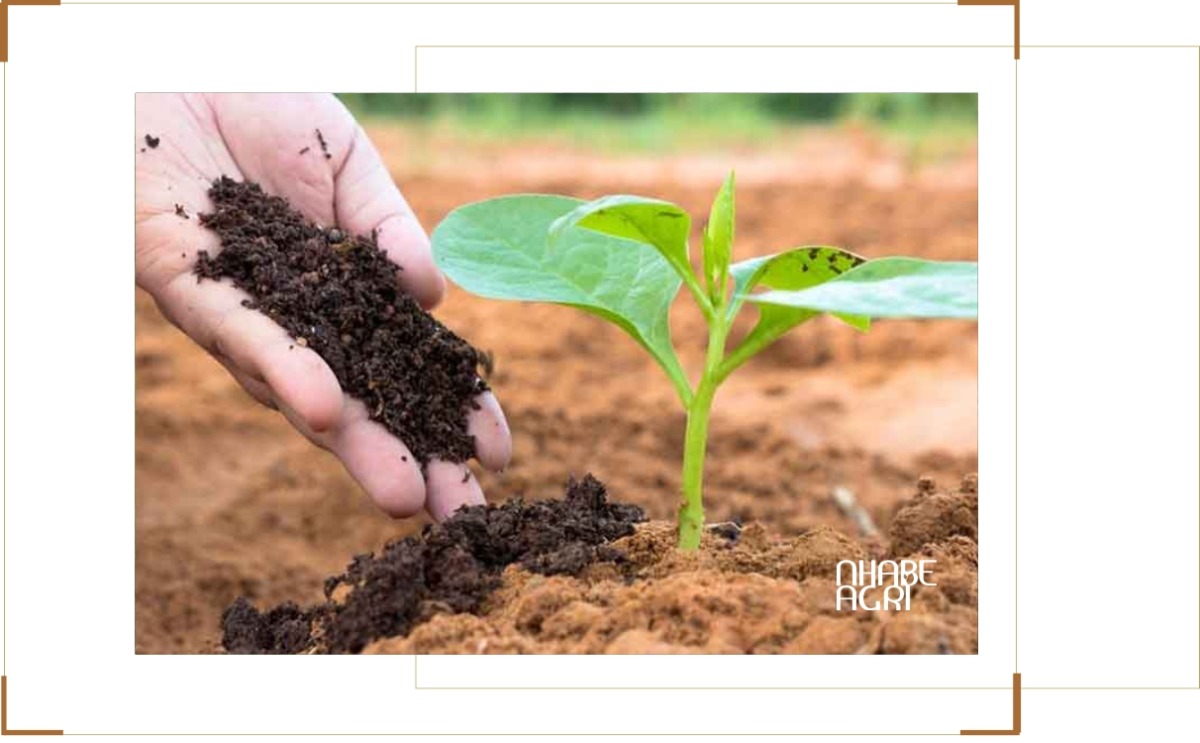 tin giá phân tăng vì chiến tranh iran