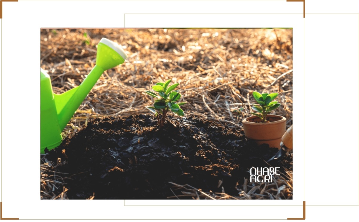 giá phân tăng vì chiến tranh iran mớii nhất