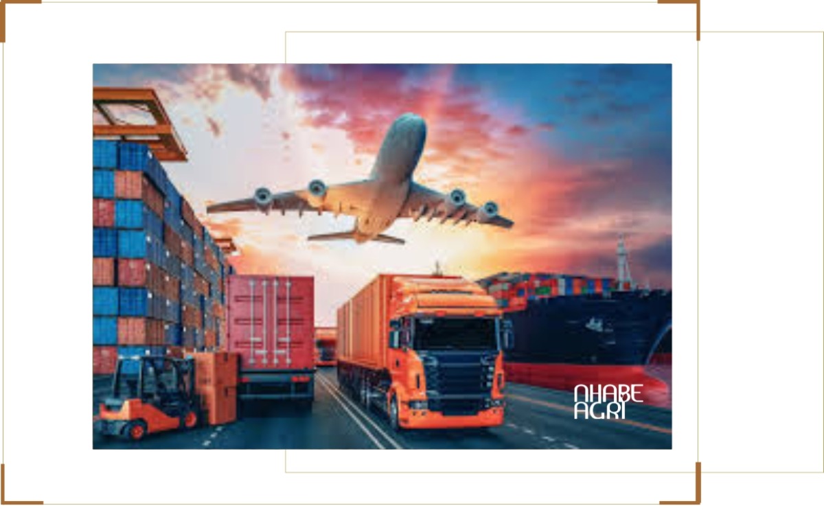 chiến tranh iran làm tăng giá logistics toàn cầu