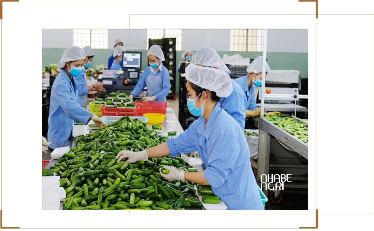 thị trường xuát khẩu nông sản