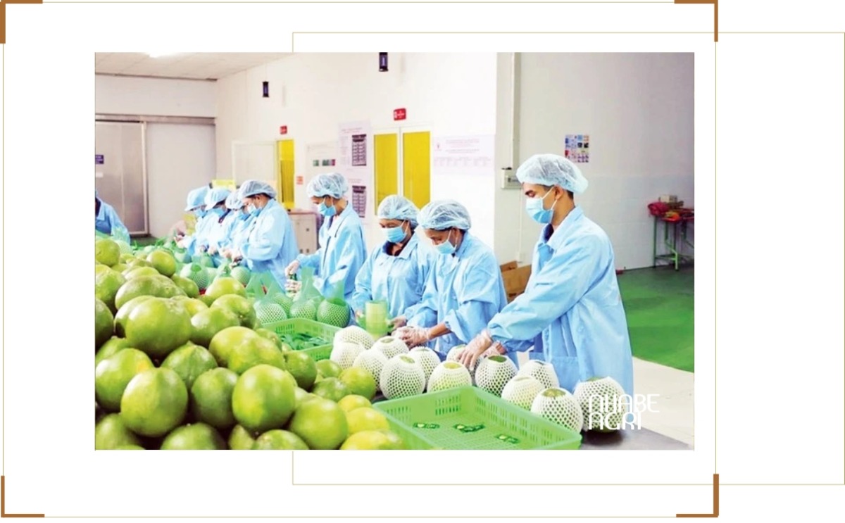 ảnh hưởng chiến tranh lên thị trường