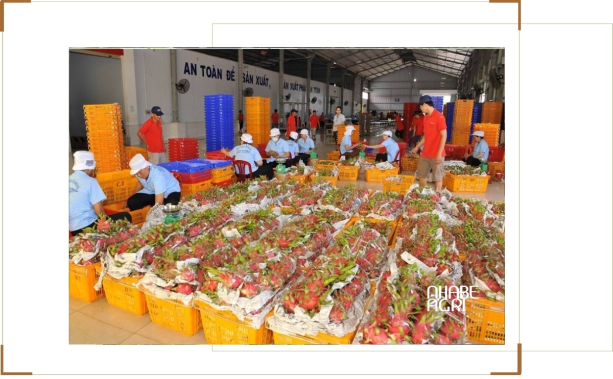 Thị Trường Xuất Khẩu Nông Sản: Xu Hướng, Cơ Hội Và Thách Thức Hiện Nay 1 thị trường xuát khẩu nông sản mới nhất