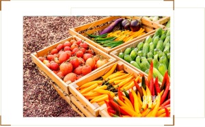 biến động thị trường xuát khẩu nông sản