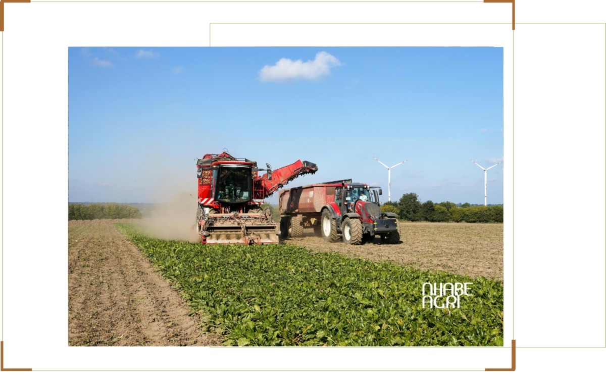 biến động thị trường xuát khẩu nông sản 2026