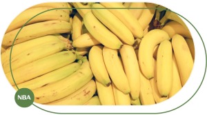 Chuối Laba Là Gì? Đặc Điểm, Giá Trị Dinh Dưỡng, Giá Bán Và Cách Trồng Chuối Laba 2 Chuối Laba chín