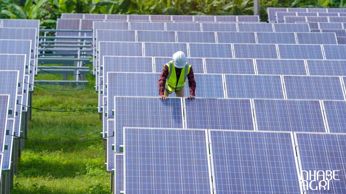 Điện-năng-lượng-mặt-trời-tác-động-đến-môi-trường-ra-sao