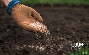 thị trường phân bón 2026