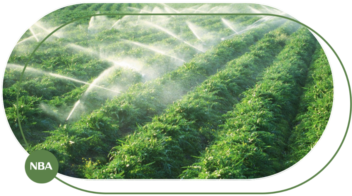 hệ thống tưới cây thông minh hệ thống tưới cây thông minh