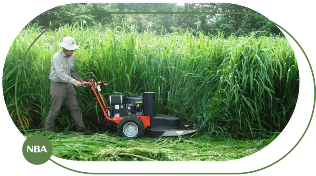 Máy Cắt Cỏ Công Suất Lớn: Giải Pháp Hiệu Quả Cho Trang Trại Và Nông Nghiệp 8 máy cắt cỏ công suất lớn mới nhất