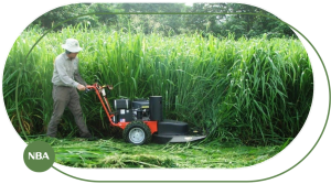 máy cắt cỏ công suất lớn mới nhất