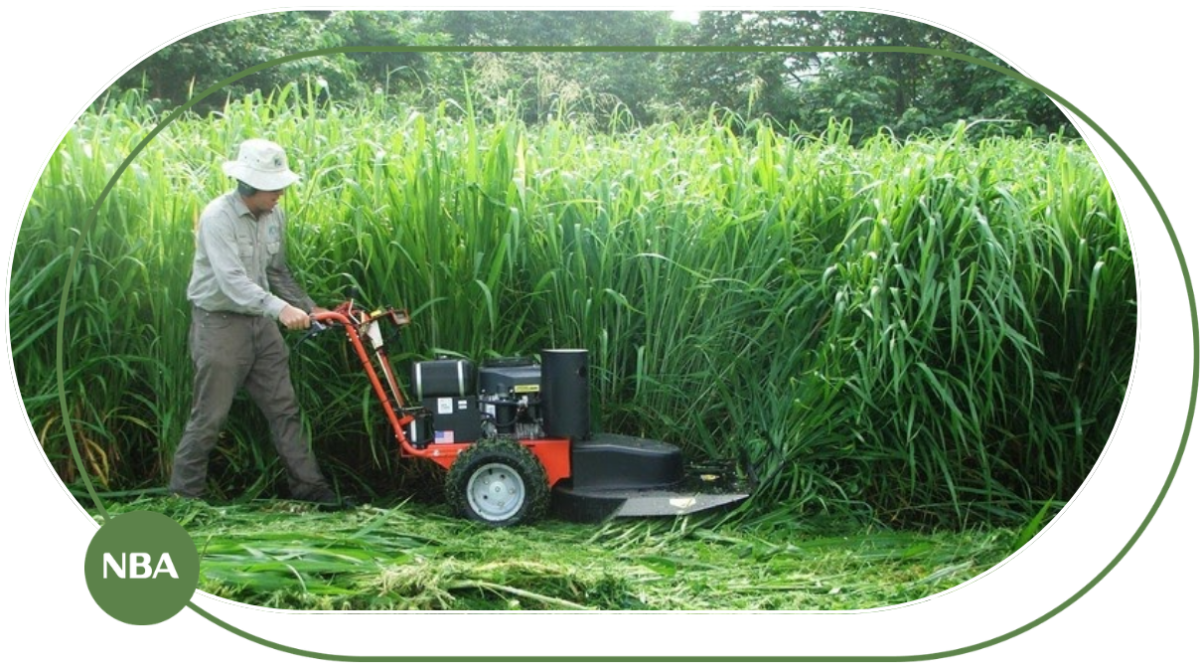 máy cắt cỏ công suất lớn mới nhất máy cắt cỏ công suất lớn mới nhất