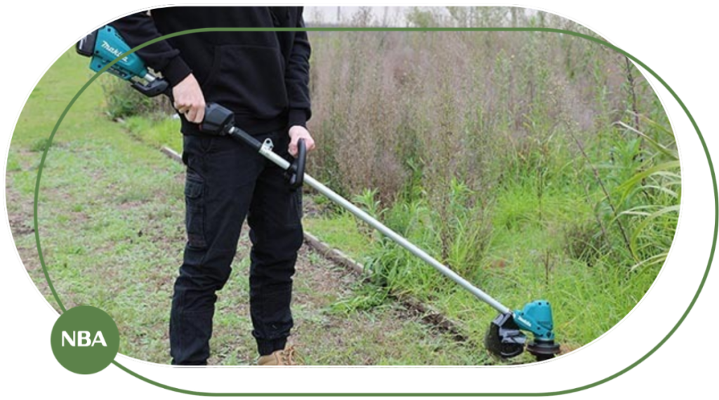 Bạn đã trồng và chăm sóc hoa hồng đúng cách chưa? 3 những lỗi thường gặp khi sử dụng máy cắt cỏ