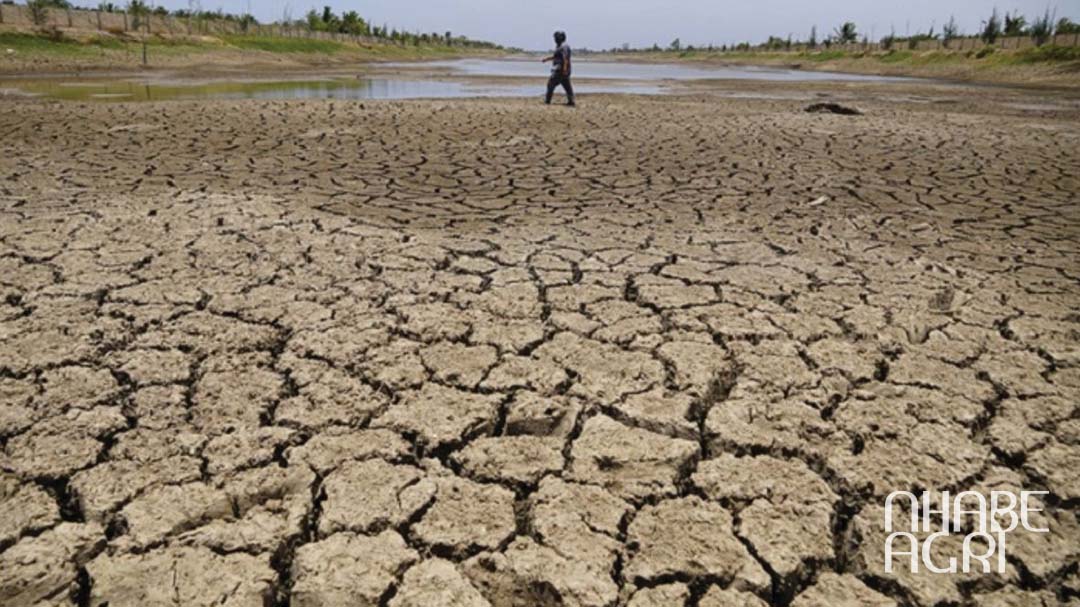 Ngập mặn ở các tỉnh ĐBSCL