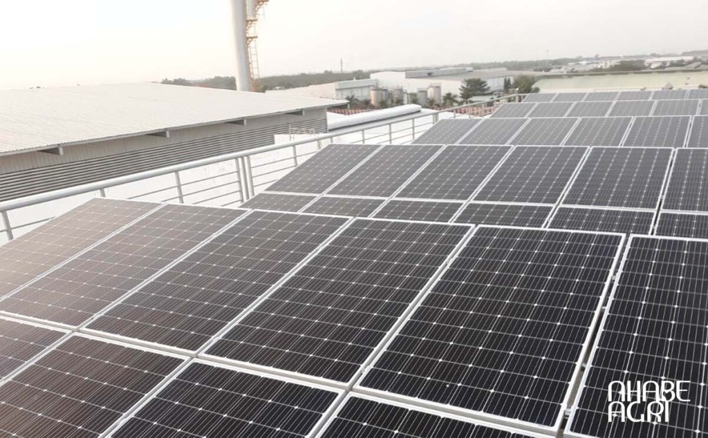 Tưới nước cho cây bí đỏ - bạn đã tưới đúng cách chưa? 6 Tấm Pin Năng Lượng Mặt Trời IREX - Bước Nhảy Vọt Công Nghệ N-Type TOPCon Cho Nông Nghiệp Việt