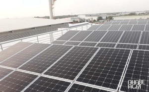 Tấm Pin Năng Lượng Mặt Trời IREX - Bước Nhảy Vọt Công Nghệ N-Type TOPCon Cho Nông Nghiệp Việt