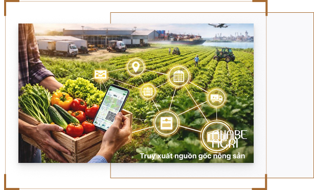 TRUY XUẤT NGUỒN GỐC NÔNG SẢN: KHI CÔNG NGHỆ TƯỚI THÔNG MINH LÀ "CHÌA KHÓA" MINH BẠCH HÓA SẢN XUẤT 10 Truy xuất nguồn gốc nông sản