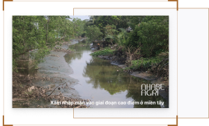 Xâm Nhập Mặn Tháng 3 2026