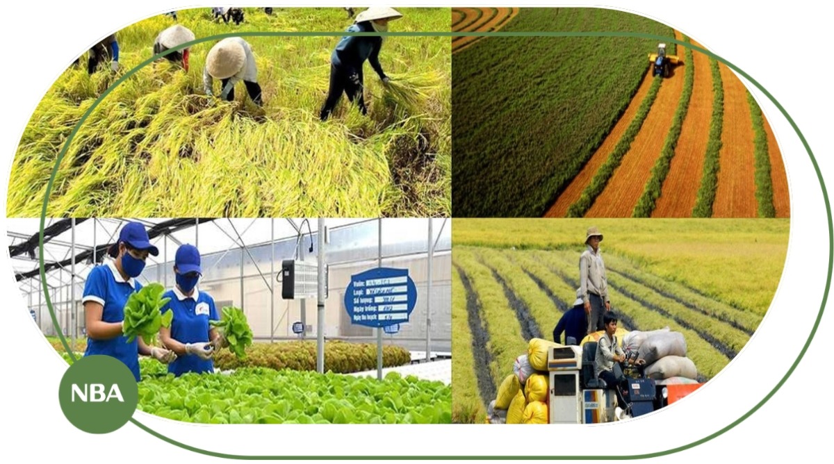 Những ngành hàng phù hợp khi kinh doanh với Nhà Bè Agri