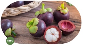 Thị Trường Cây Măng Cụt Toàn Cầu Và Xu Hướng Phát Triển