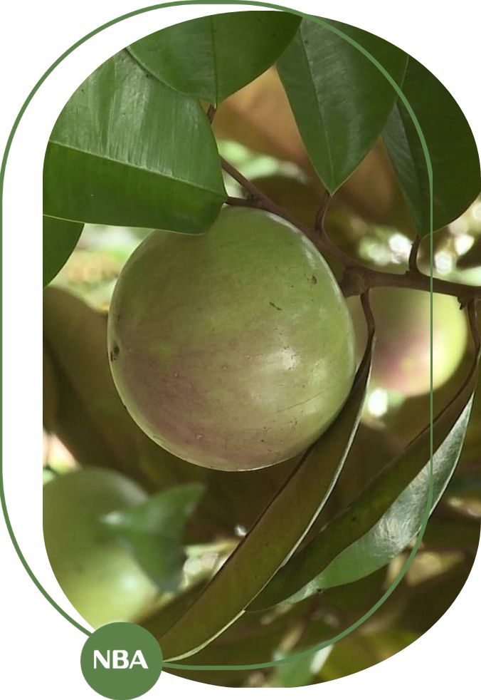 tong-quan-thi-truong-vu-sua-tren-the-gioi TỔNG QUAN THỊ TRƯỜNG VÚ SỮA TRÊN THẾ GIỚI